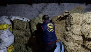 Nevşehir merkezli rüşvet operasyonu