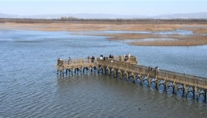 Efteni'ye yoğun ilgi