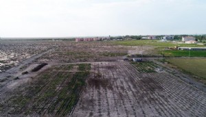 Korkutan toprak kaybı raporu