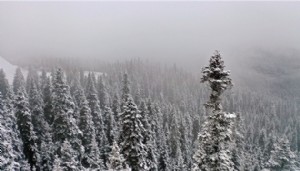 Ilgaz Dağı beyaza büründü