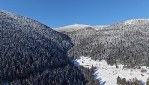Kar altındaki ormanlar görüntülendi