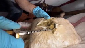 Zehir tacirlerine operasyon