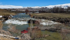 Yağışlar inci kefallerine yaradı