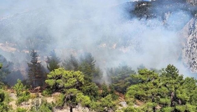 Antalya'da ormanlık alanda yangın: Müdahale ediliyor!