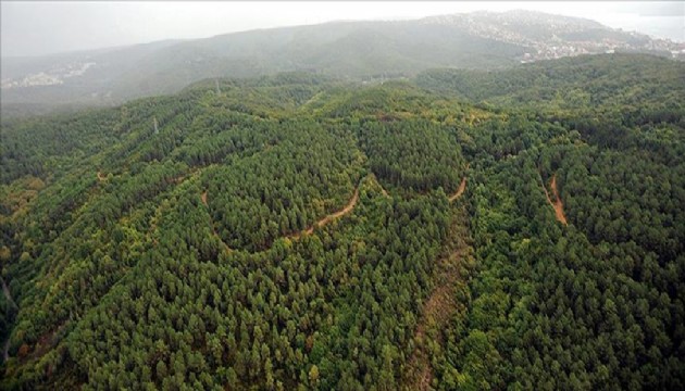 Valilikten orman yangınlarına ilişkin uyarı