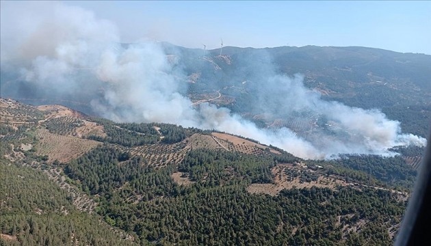 Hatay'da orman yangını