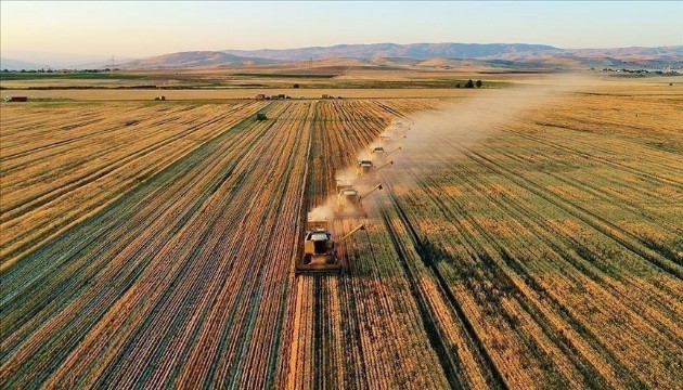 Bakan Kirişci duyurdu: Hibe desteği verilecek