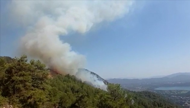 Muğla'da orman yangını