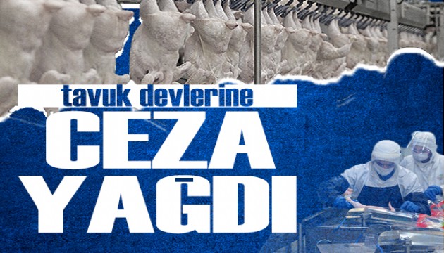 Tavuk devlerine ceza yağdı