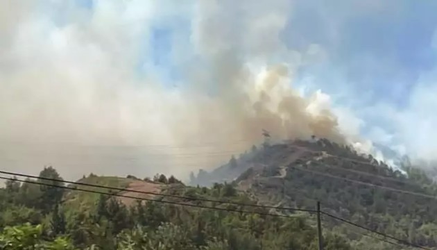 Hatay'da orman yangını!