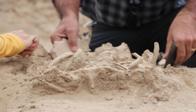 Bebek iskeleti ortaya çıkarıldı