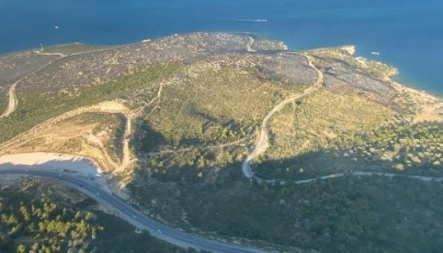 İzmir'deki orman yangını kontrol altına alındı