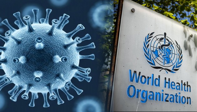 DSÖ'den Nipah virüsü açıklaması