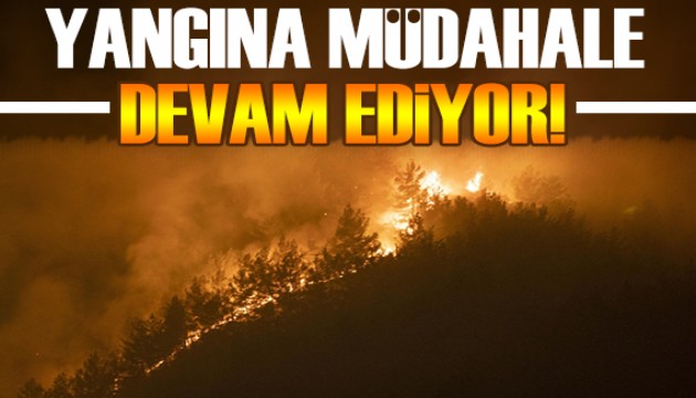 Marmaris'teki orman yangınında son durum