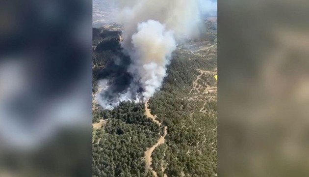 İzmir'de orman yangını