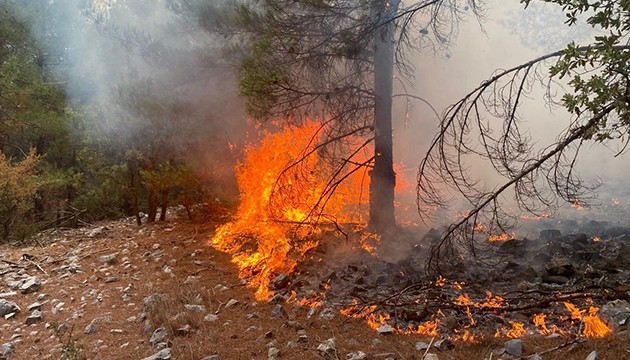 Yangınların yüzde 88'i insan kaynaklı