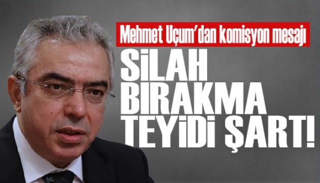 Mehmet Uçum'dan Terörsüz Türkiye mesajı: Silah bırakma teyidi şart!