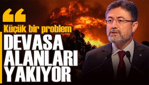 Bakan Yumaklı'dan yangınlara ilişkin açıklama: Gerekli müdahaleleri yapıyoruz