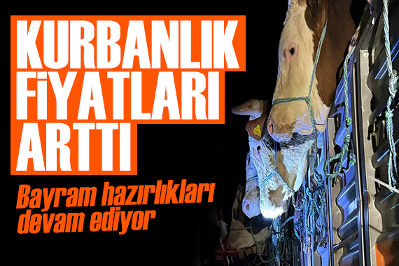 Kurbanlıklar görücüye çıkıyor! Fiyatları arttı