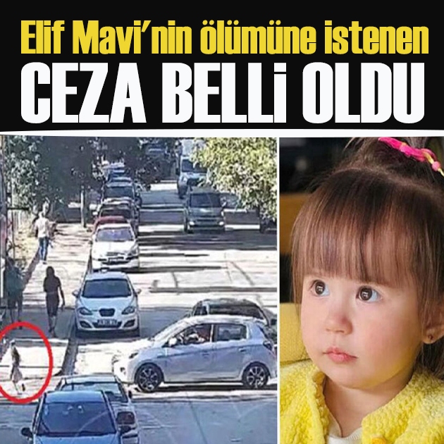 Elif Mavi'nin ölümüne neden olmuştu! İstenen ceza belli oldu