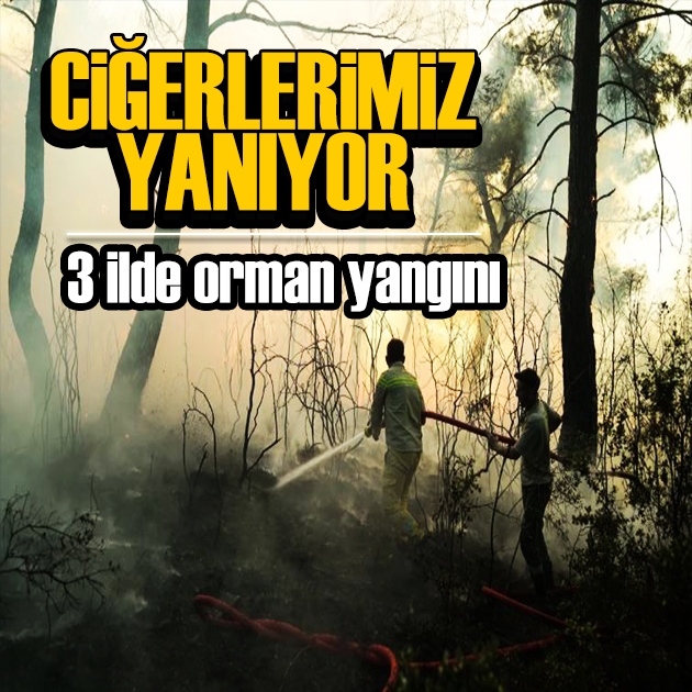 Ciğerlerimiz yanıyor! 3 ilde orman yangını