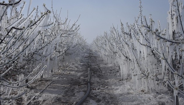 Meteorolojiden zirai don uyarısı