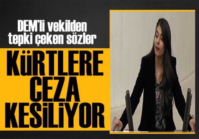 DEM'li vekilden tepki çeken sözler: Kürtlere trafik cezası kesiliyor 