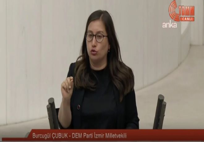 DEM Partili Burcugül Çubuk, Meclis'te Kürtçe bela okudu! Tepki yağdı 